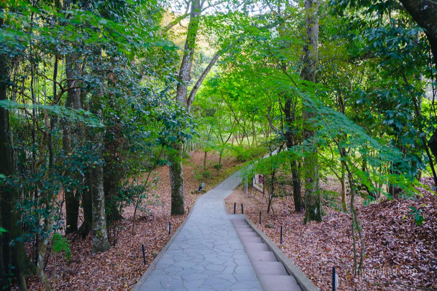 佐賀武雄景點 | 武雄神社,交通、參拜重點、御守全攻略 - 第28張圖 佐賀武雄景點 | 武雄神社,交通、參拜重點、御守全攻略