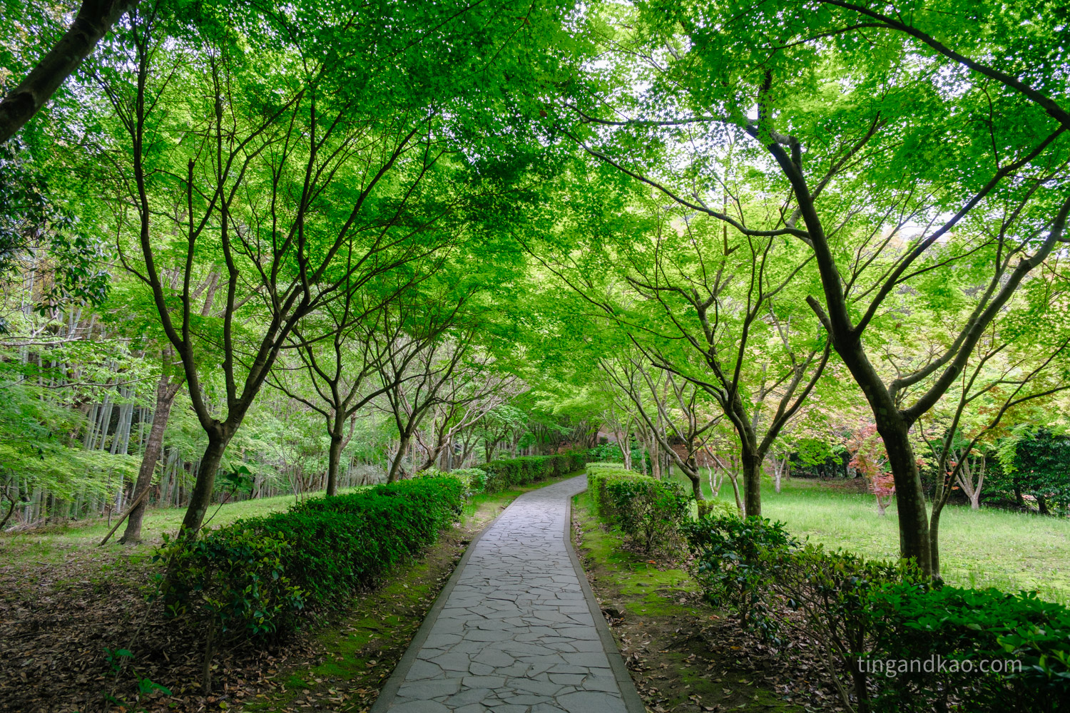 佐賀武雄景點 | 武雄神社,交通、參拜重點、御守全攻略 - 第29張圖 佐賀武雄景點 | 武雄神社,交通、參拜重點、御守全攻略